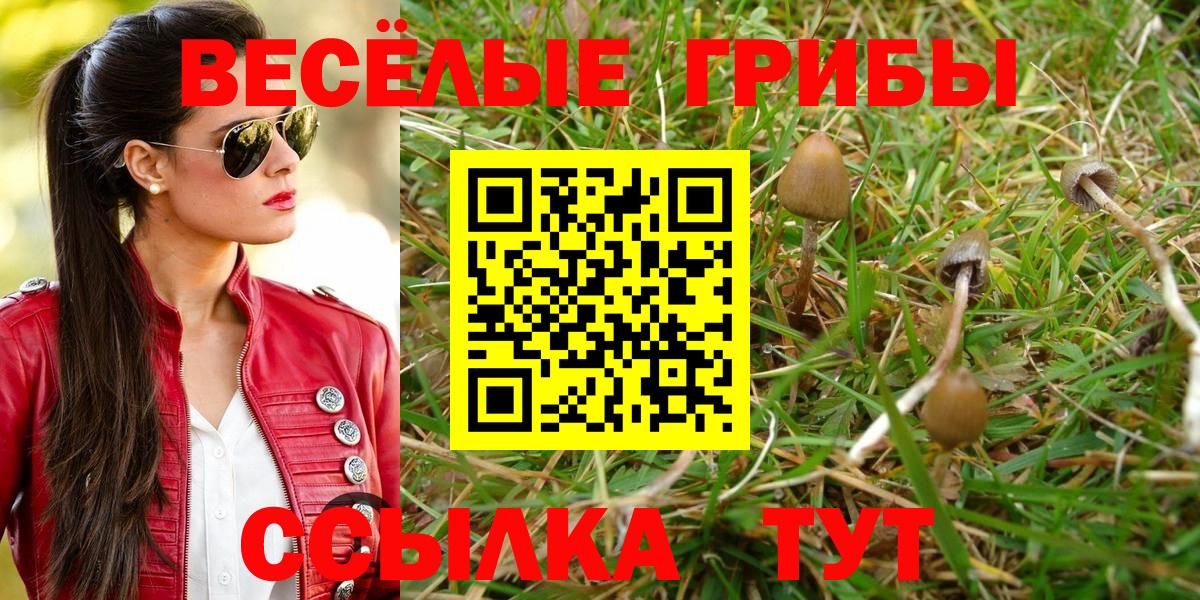 Севастополь  Галлюциногенные грибы мухоморы  Вход с VPN 