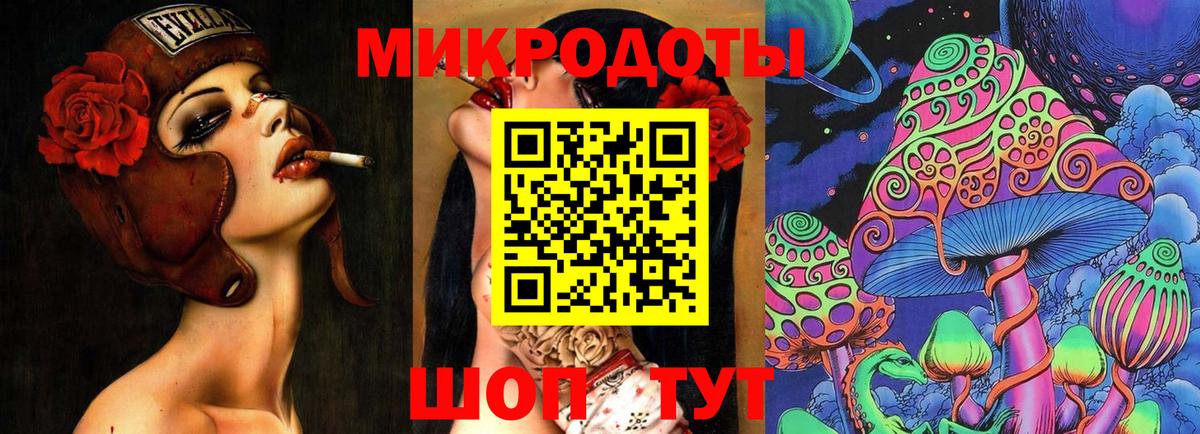 Псилоцибиновые грибы Psilocybe Севастополь